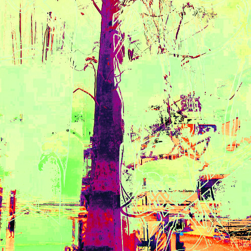 If I Could Sleep Maybe I Wouldn't Try to Save Myself