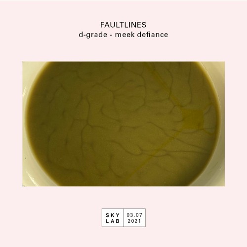 Faultlines E23 - d-grade - meek defiance