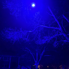 Mesmerised (Instrumental Track Prod. Me)