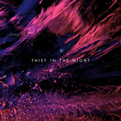 Thief In The Night