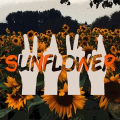 SUNFLOWER!