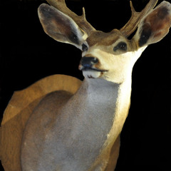 #882 Slow