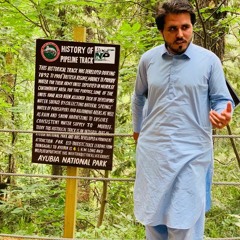 Ae Pukhtuna  Saf K  Ghani Khan ( m4a).m4a