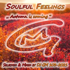 Soulful Feelings 103-21 (Autumn is coming) DJ GM