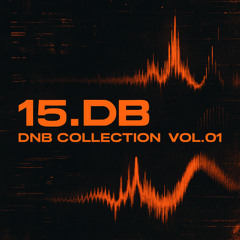 15.DB - DNB Collection #01