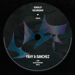 PREMIERE: Fahy & Sanchez - Black Mountain [Sengiley Recordings]