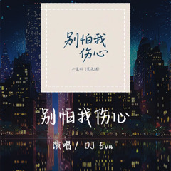 DJ Eva-别怕我伤心 「我的爱也曾经深深温暖你的心灵」 【動態歌詞/pīn yīn gē cí】
