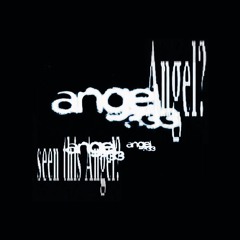 seen this angel?.wav