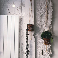 سورة المنافقون | عيسى عمر سناكو