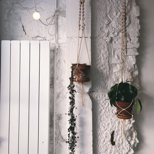 سورة المنافقون | عيسى عمر سناكو