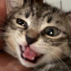 HAIR APPOINTMENT (prod. Gemology)