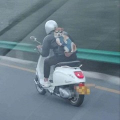 Một chiếc nhạc tươi tắn