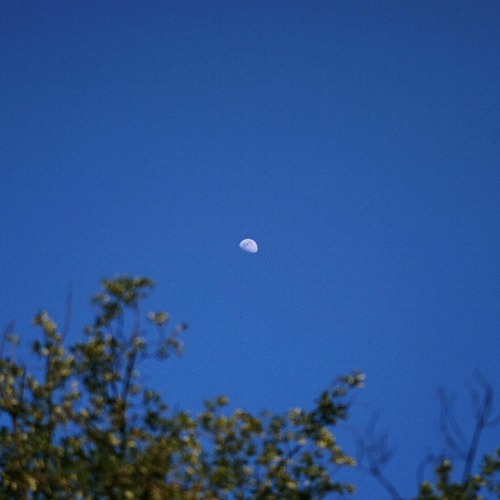 I Saw Stars w/ Blocktane