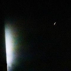 city lights
