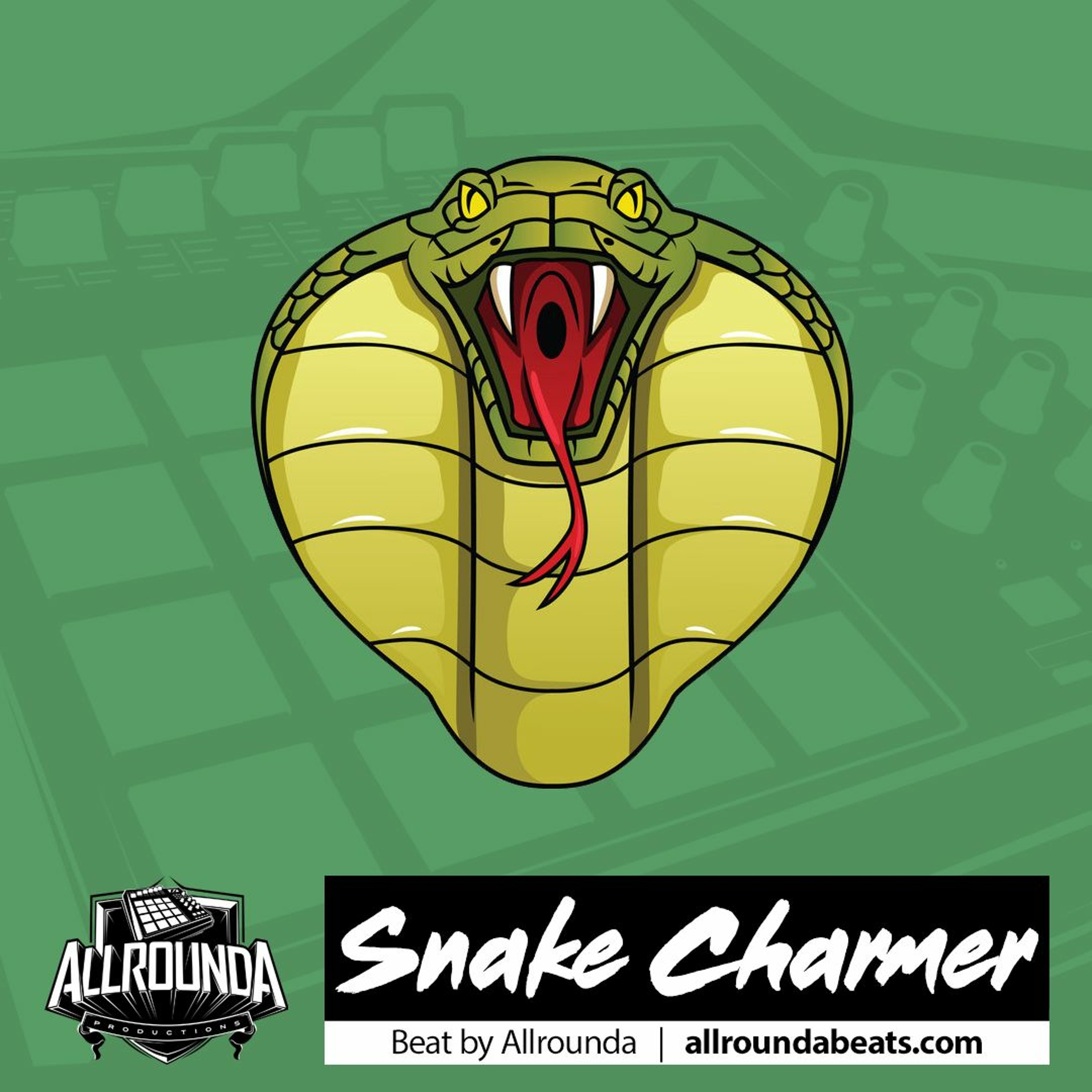 "Snake Charmer" ~ Oriental Beat | Timbaland Type Beat Instrumental episode artwork