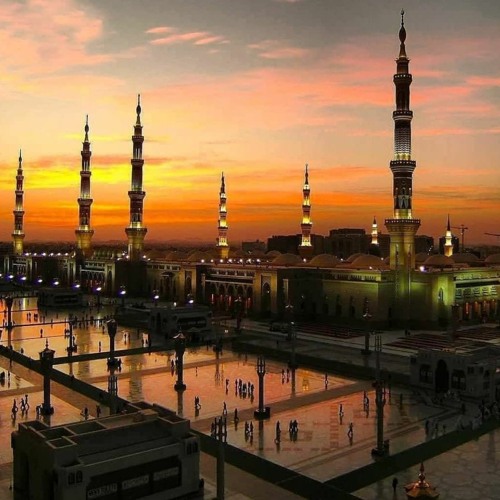 حفل المولد النبوي الشريف - بحضور الحبيب علي الجفري - روضة النعيم