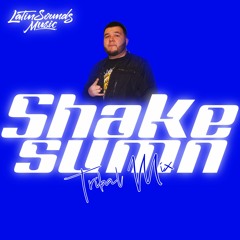 Shake Sumn Tribal Mix - Dj Gecko Dj Tronix