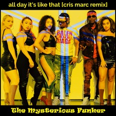 The Mysterious Funker - All Day, It's Like That (Cris Marc Remix)
