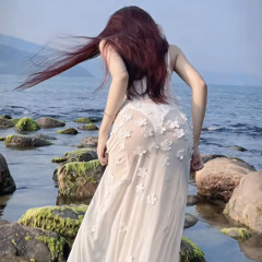 ✈️NST 2025 - Tik Tắk 3 ( BaoKhang )✈️✈️