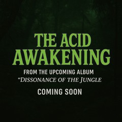 the Acid Awakeing- Preview Cut (from the upcoming album)