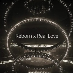 Arodes, Moojo vs. Martin Garrix & Lloyiso - Reborn x Real Love