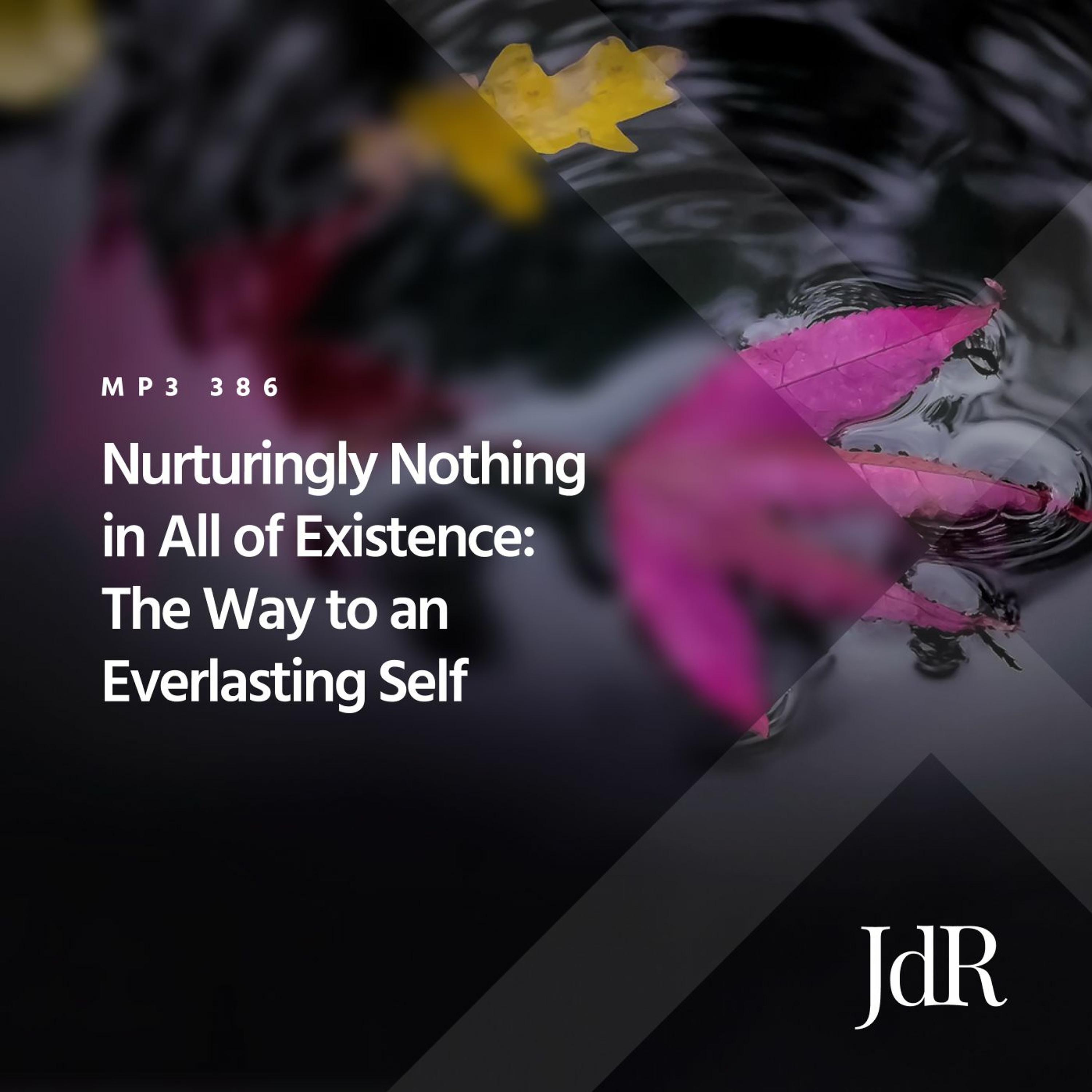 386 - Free Choice: Nurturingly Nothing In the Movement of the Personal - 1 of 6 episode artwork