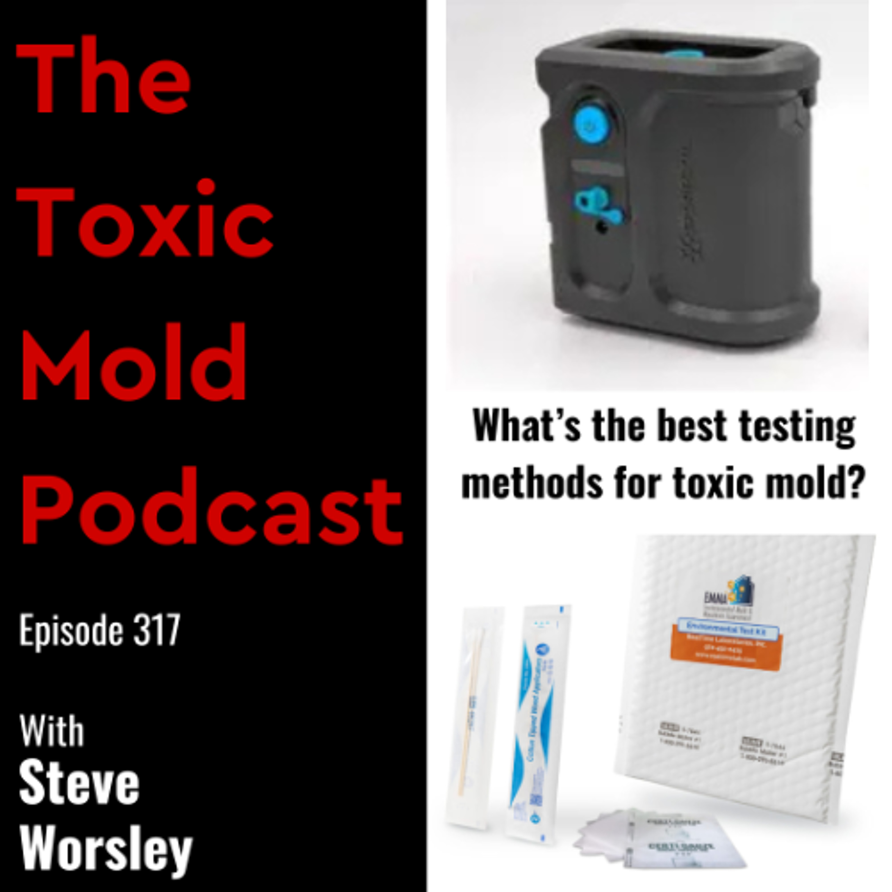 EP 317: What's the Best Testing Methods for Toxic Mold?