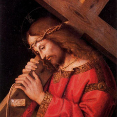 Counting the Cost of Discipleship