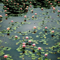 the 30th (a billie eilish cover)