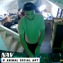 Animal Social (04.11.22)