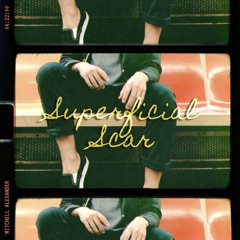 Elegant Lies