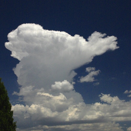 The Day Without A Name (feat. Pax 11)