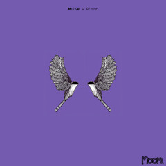 PREMIERE: MIDGE - Kindness [Moom Sound]