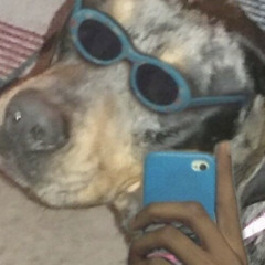 Nitedgth