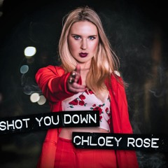 Shot You Down