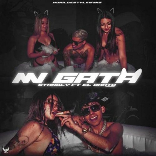 Neo Quasar Ft. Standly & El Barto - Mi Gata (Antonio Colaña 2022 Intro Remix)