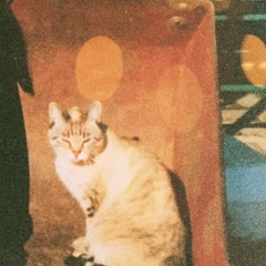 Tränen fallen weicher