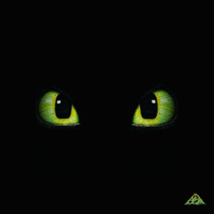NIGTH FURY