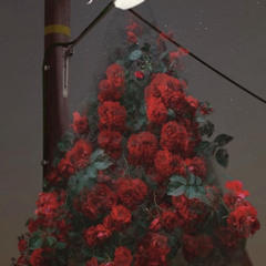 X-mas holy night (chaechae x hoy)