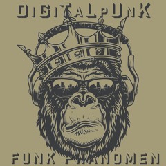 DiGiTaLpUnK - Funk Phänomen