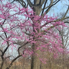 Arigato (Prod w Plugghurtz & Cymvn)