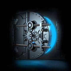 Vault 312