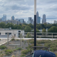 lost & found p. zachcs