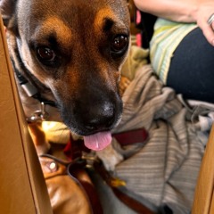 You don’t (got me by my heel)