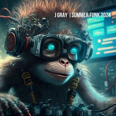 SUMMER FUNK 2024