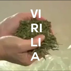 VIRILIA - BONDE DA SIRIRI