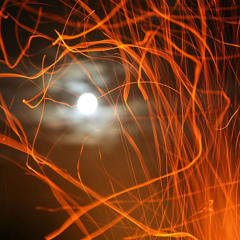 visions of a fevered mind