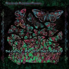 VA - Balance Of The Butterfly (Mix) CHRONO006