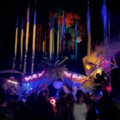 🌒 Wonky Forest 2024 - Into The Night Set  🌒