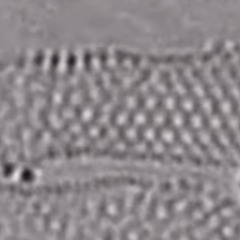 𝐂𝐑𝐔𝐌𝐁 𝐏𝐔𝐍𝐂𝐇